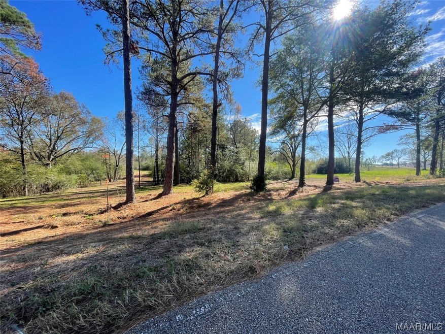 Lot 8 B County Rd 603