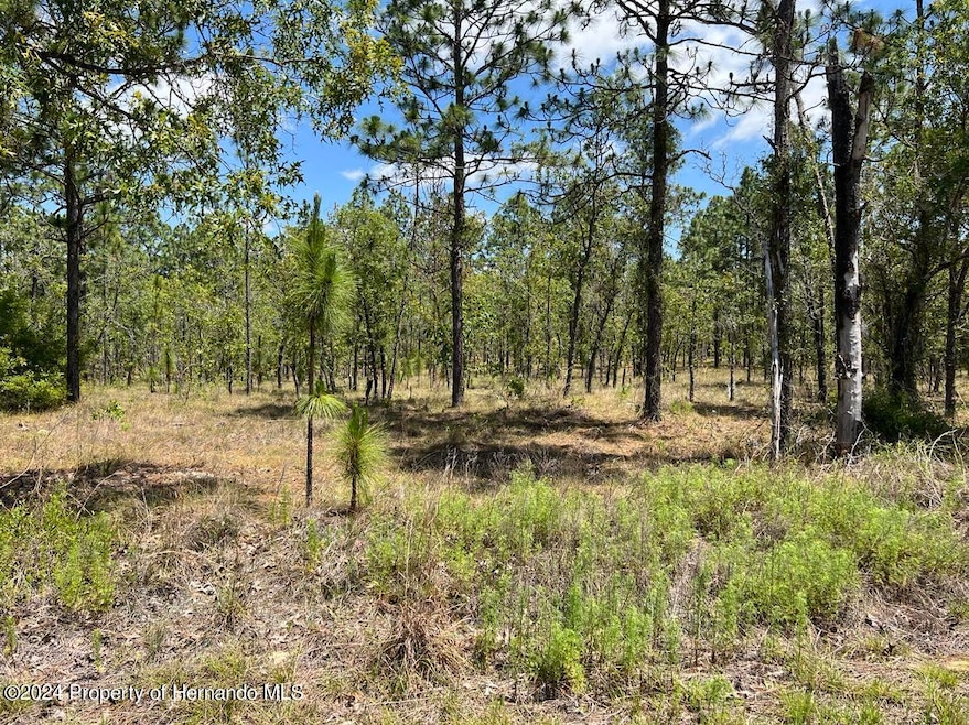 00 NW Amberjack Ave, Dunnellon, FL 34431 - photo 1