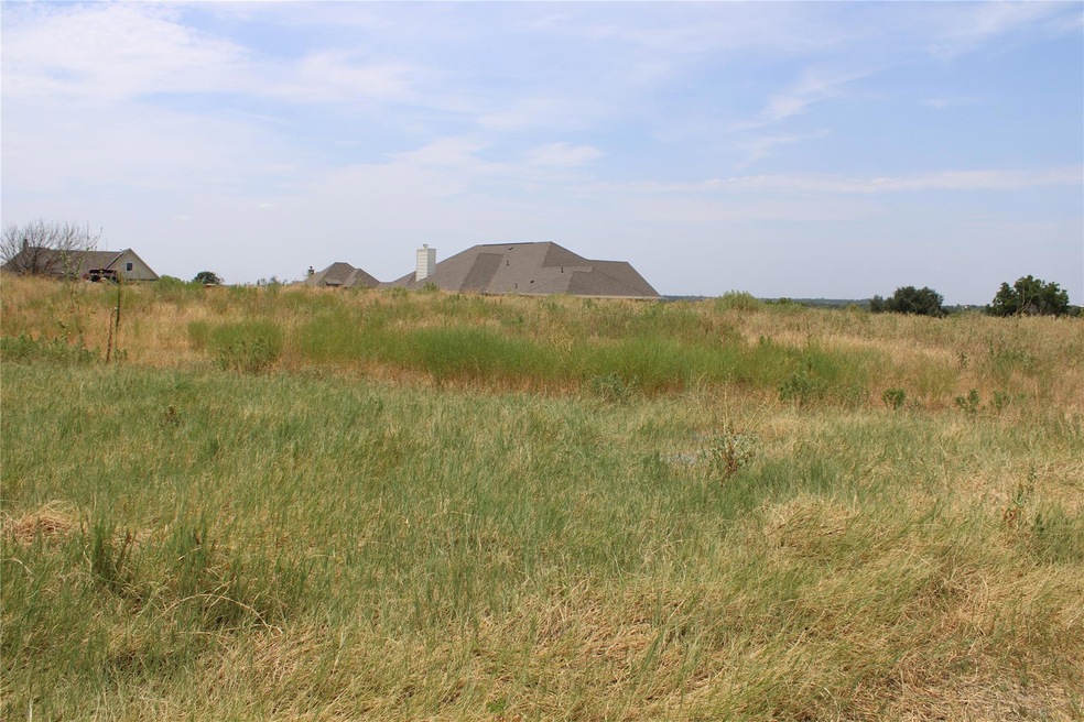 101 Kathy Stephens Ave, Springtown, TX 76082 - photo 1