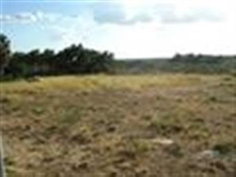 117 Mourning Dove Ct, Laredo, TX 78045 - photo 1