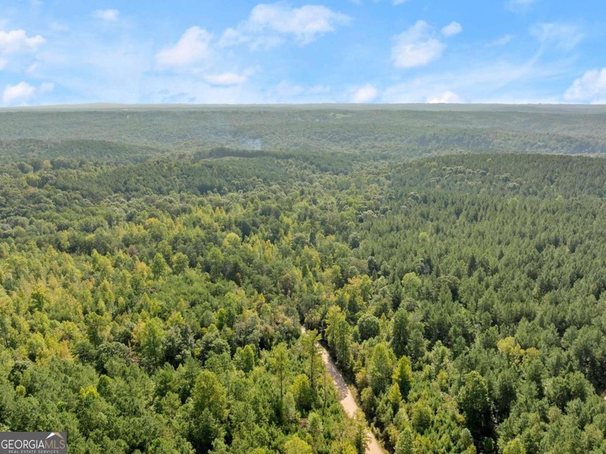 0 Oliver Mill Rd unit 10387901, Lula, GA 30554 - photo 1