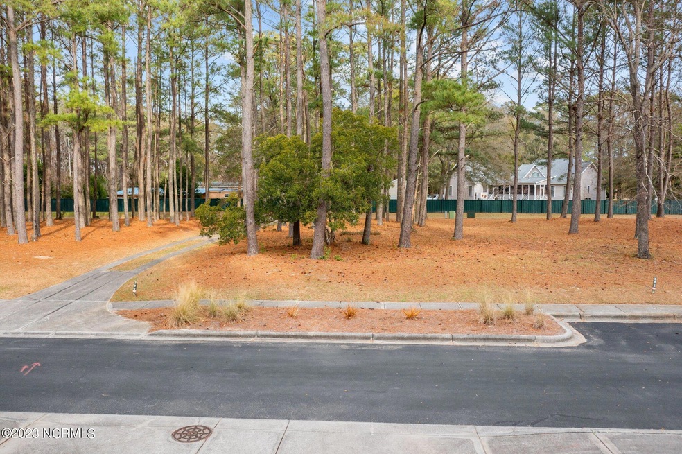 5-web-or-mls-DJI_0772