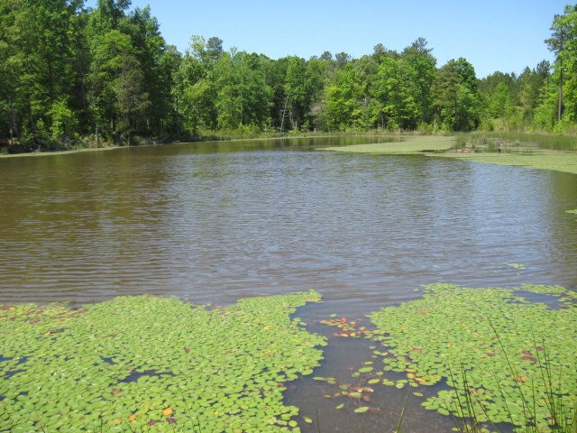 0 Chamberlain Ferry Rd unit 275442, Lincolnton, GA 30817 - photo 1