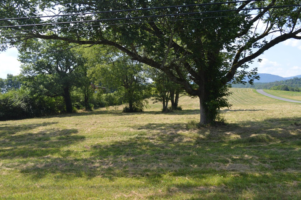 DSC_0005