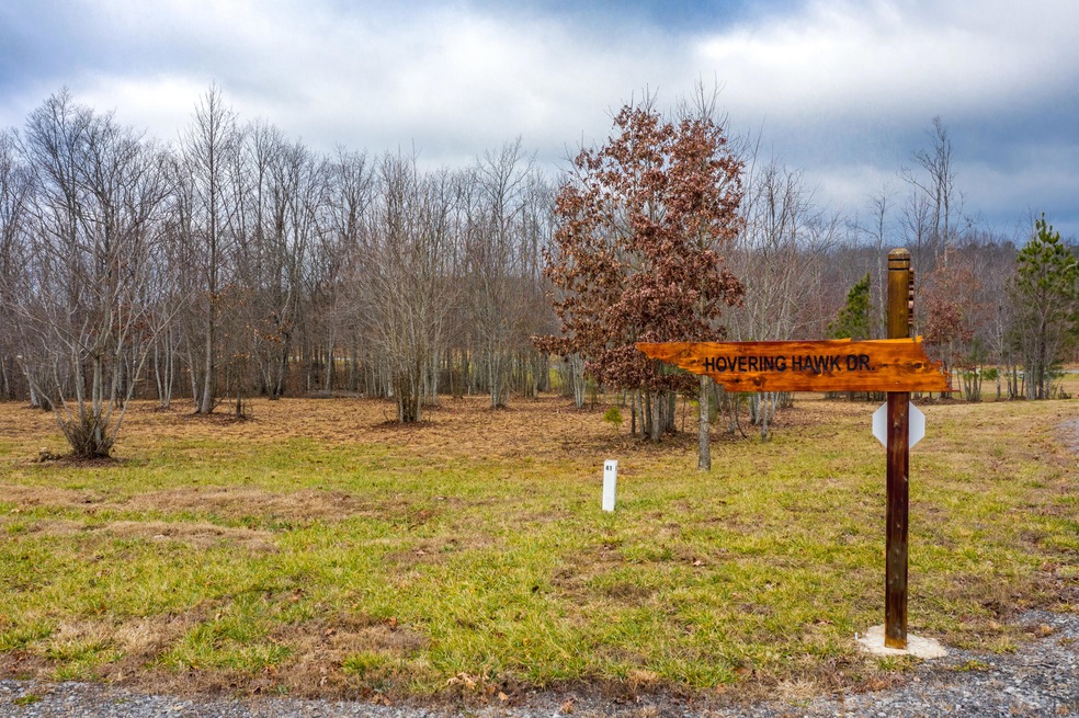 0 Hovering Hawk Dr unit 1329187, Jasper, TN 37347 - photo 1