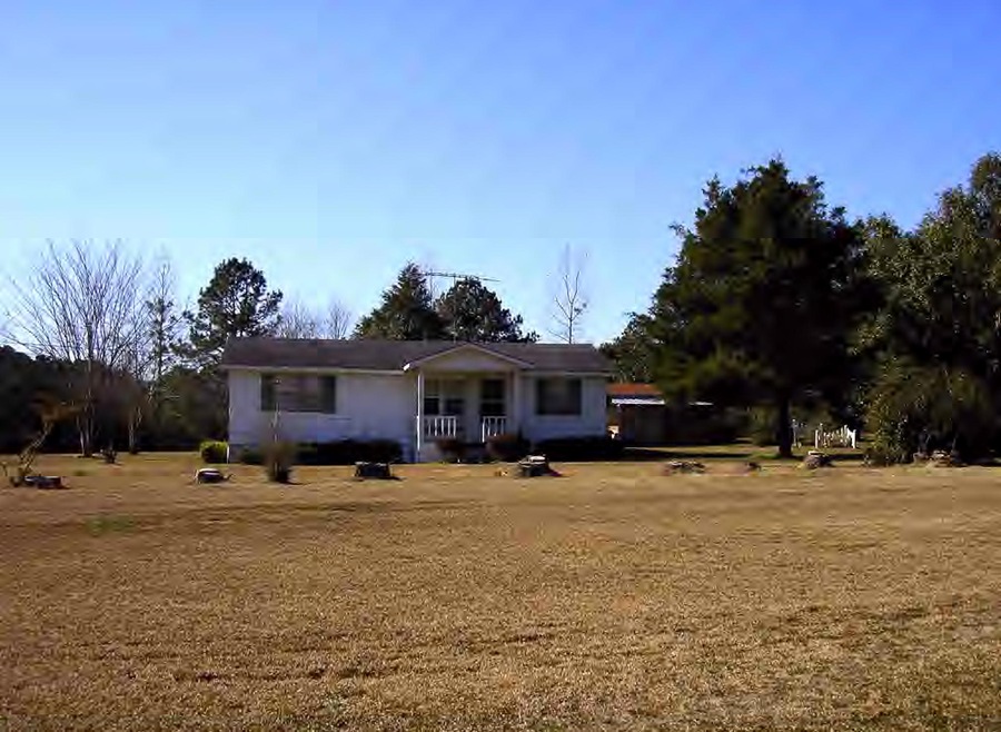 Main View