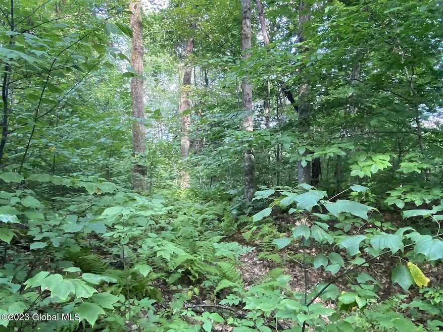7 Pinewood Front