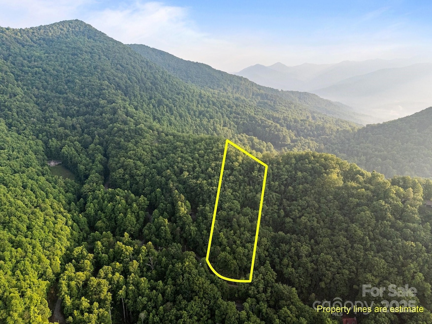 10 Turkey Trot Trail, Sylva, NC 28779 - photo 1