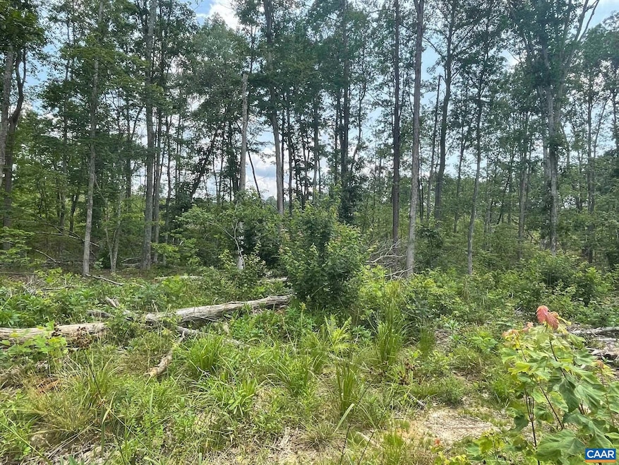 0 Passante Sr Ln unit 10 68 666509, Gordonsville, VA 22942 - photo 1