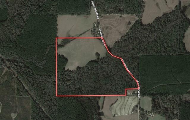 TBD Crain Reeves Rd, Tylertown, MS 39667 - photo 1