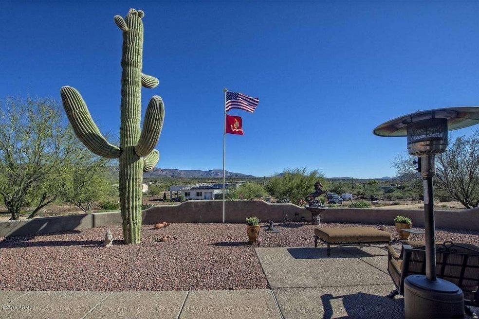 200 Year Old Saguaro and Mountain Views