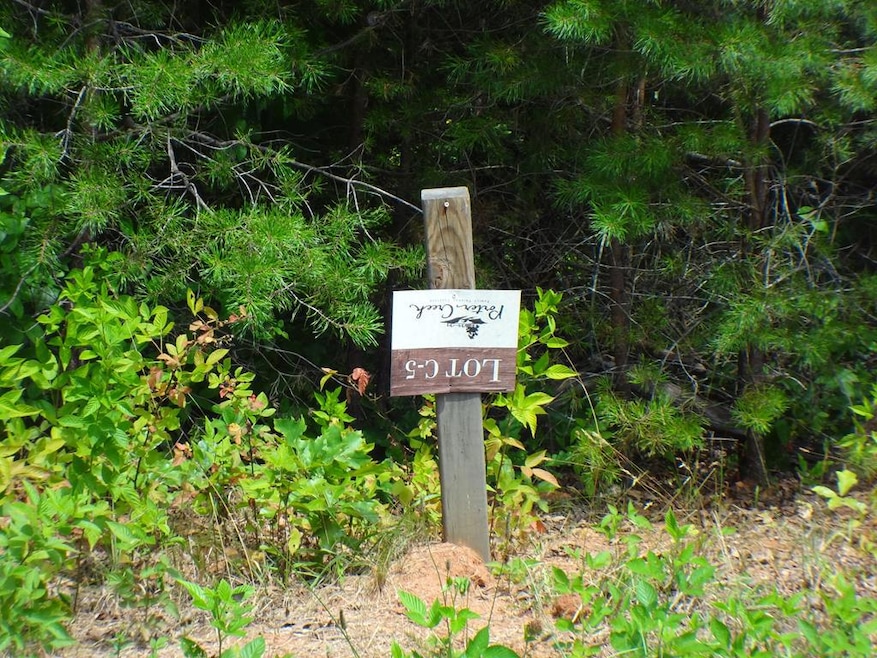 C-5 Cottage View Dr, Franklin, NC 28734 - photo 1