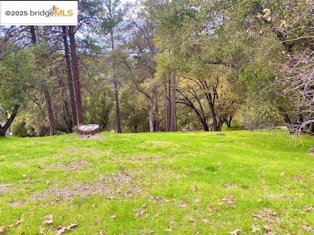 19703 Cottonwood St, Groveland, CA 95321 - photo 1