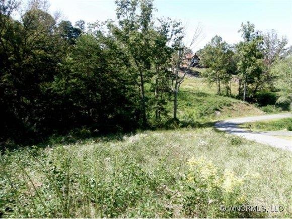 12 Magnolia Farms Dr unit 12, Asheville, NC 28806 - photo 1