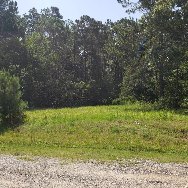 34 Silver Lakes Dr, Huntsville, TX 77340 - photo 1