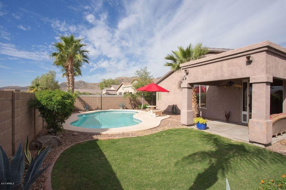 Nighthawk pool and yard
