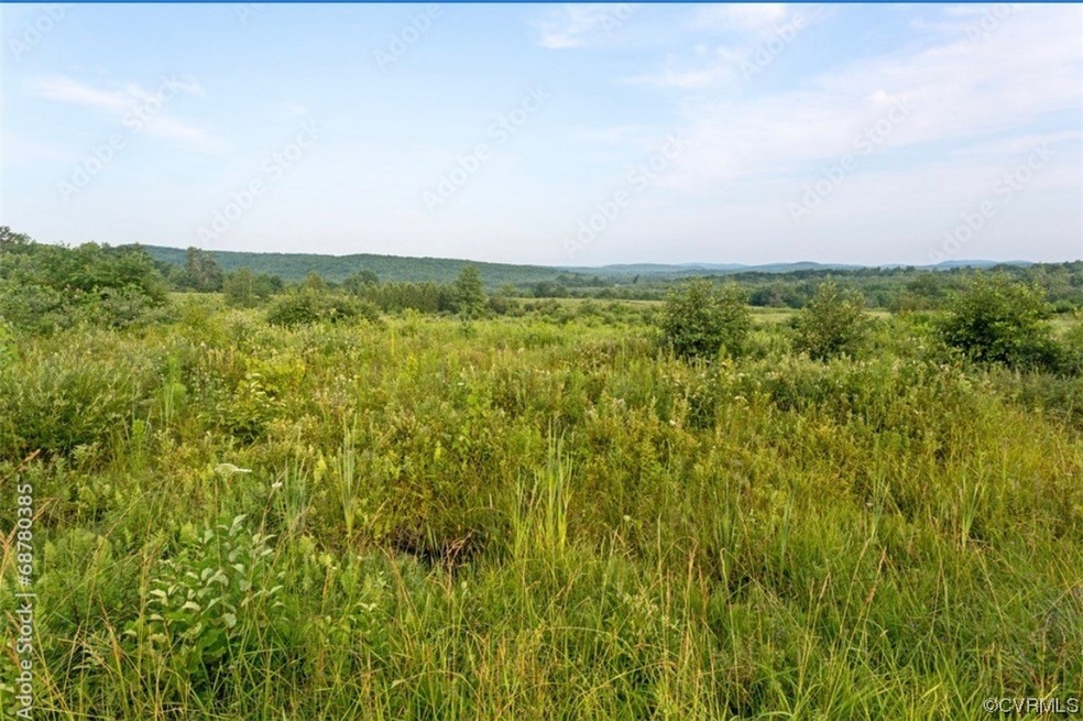 000 Riverview Ave, Buffalo Junction, VA 24529 - photo 1