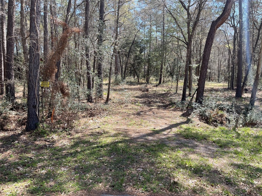 TBD2 Dan Cir, Magnolia, TX 77355 - photo 1