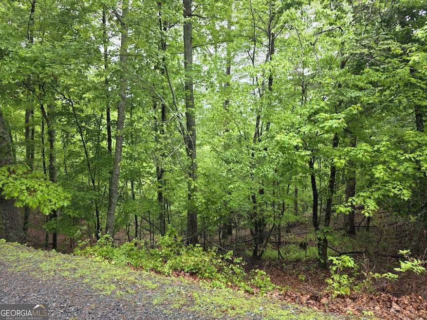Lt 937 Myna Dr, Ellijay, GA 30540 - photo 1