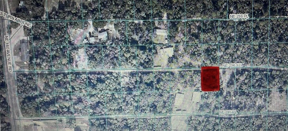 TBD NE 236th St unit RD 10, Fort Mc Coy, FL 32134 - photo 1