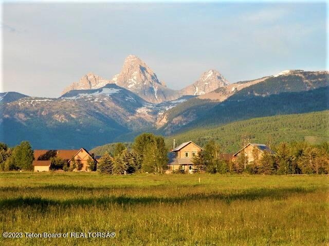 Teton View