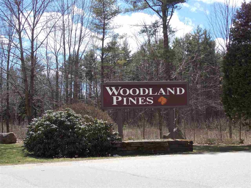 23 Woodland Pines Rd, Bartlett, NH 03845 - photo 1