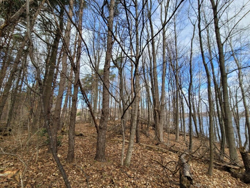 Lot 6