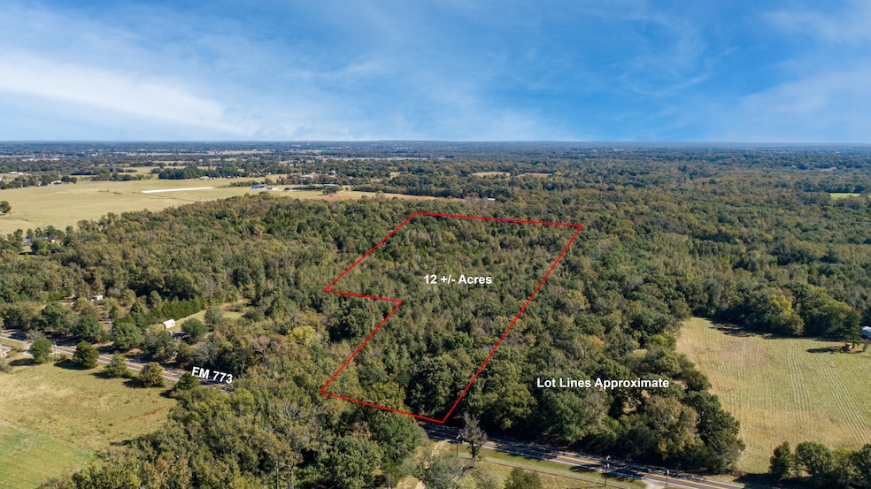 10081 Farm To Market Road 773, Ben Wheeler, TX 75754 - photo 1