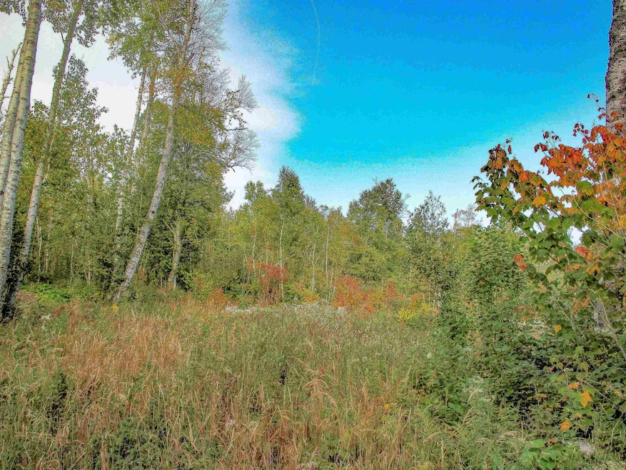 9223 Minnesota 61, Schroeder, MN 55613 - photo 1