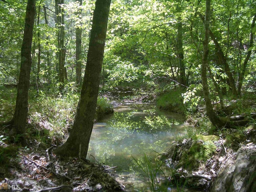 0 Nicklesville Rd NE unit 9637 8073887, Ranger, GA 30734 - photo 1