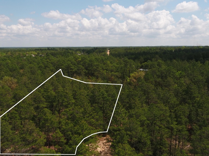DJI_0007_100_orbit_border