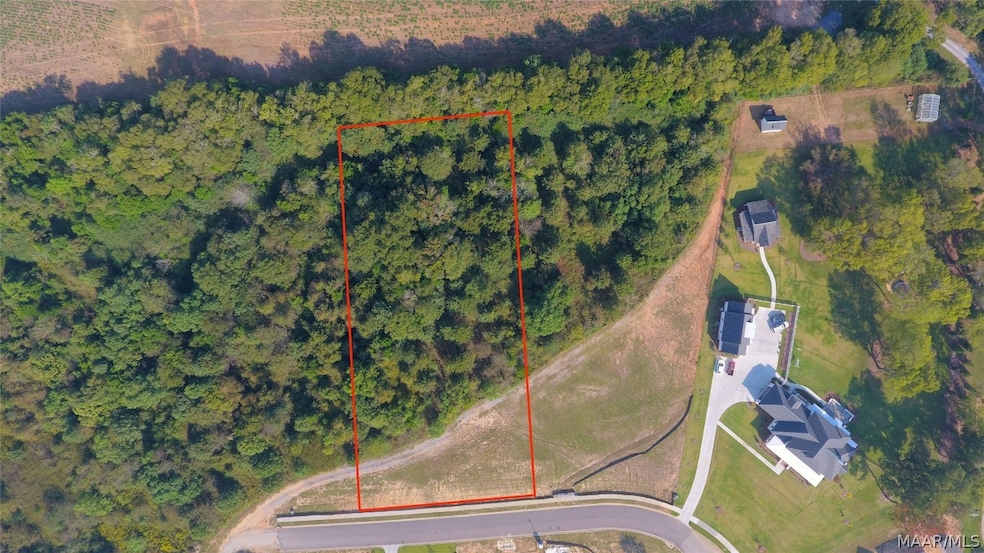 Lot 4