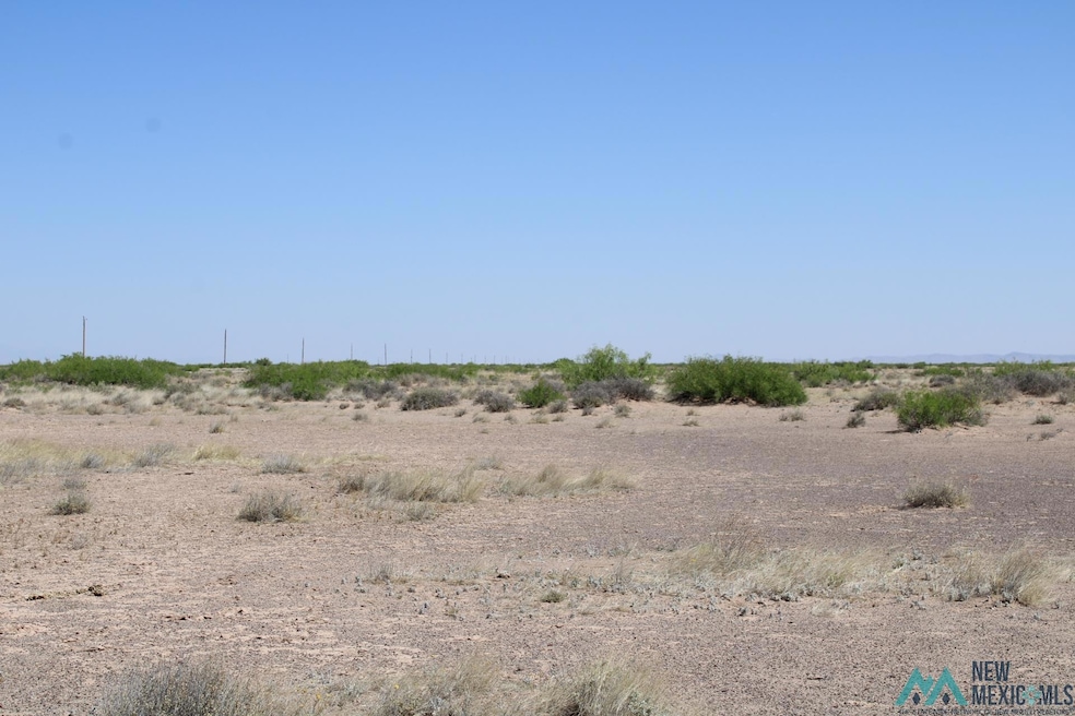 0 Harrison Rd SE unit 20232297, Deming, NM 88030 - photo 1