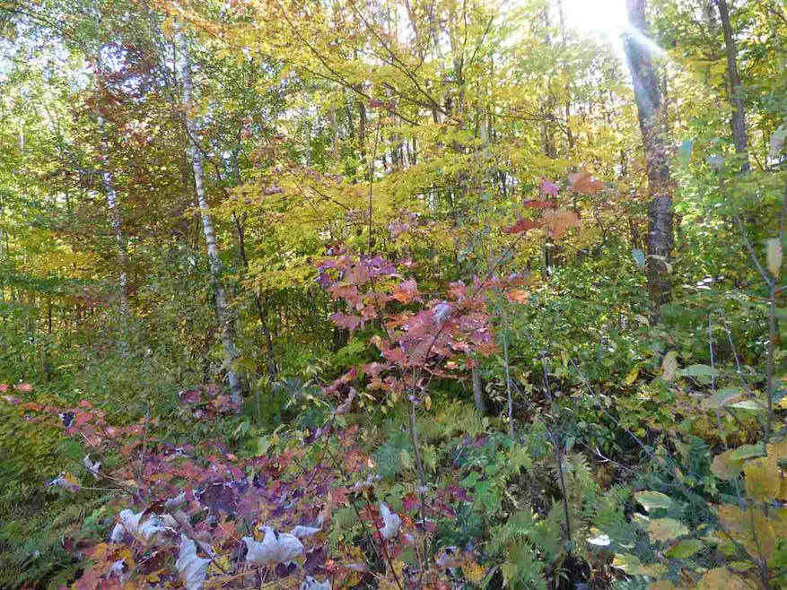 0 Barton unit 4723495, Albany, VT 05820 - photo 1