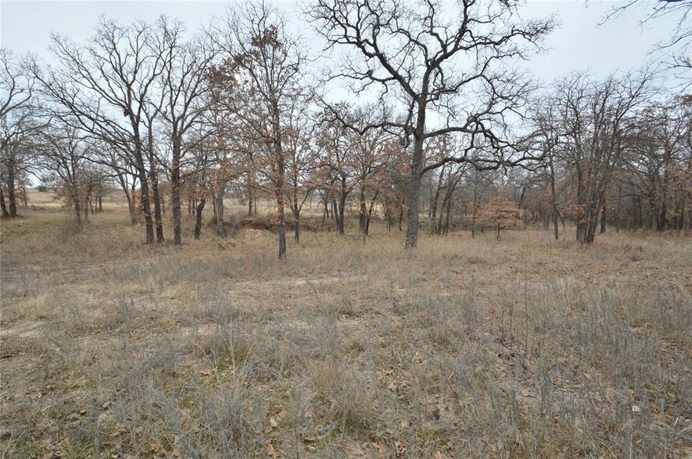 Lot 207 Bishop Dr, Weatherford, TX 76088 - photo 1