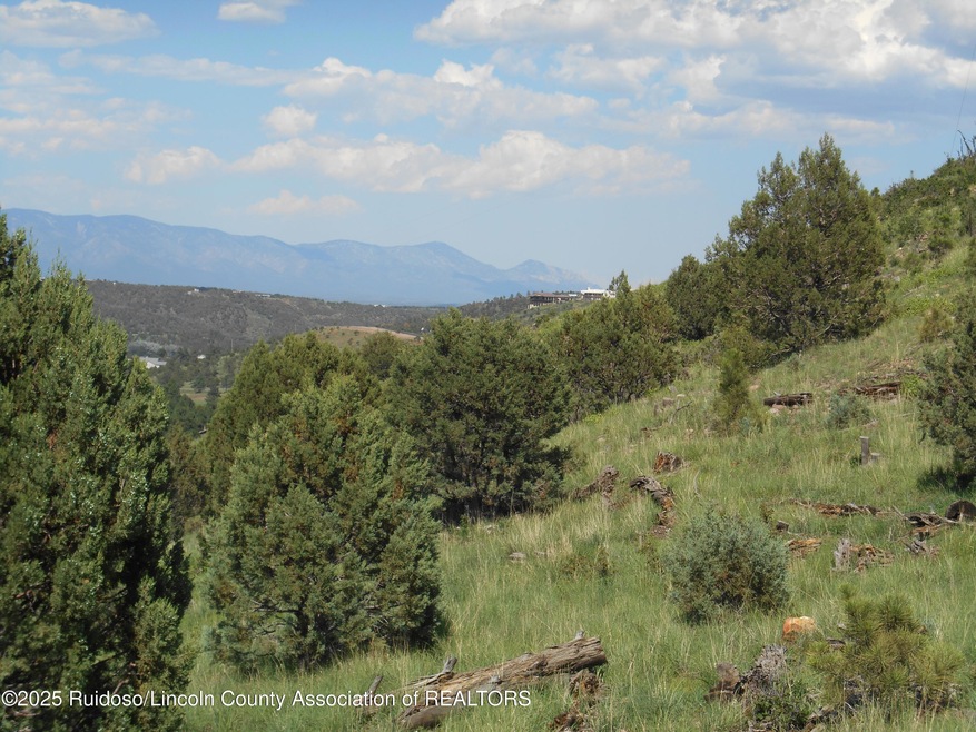 0 Stable unit 132537, Alto, NM 88312 - photo 1