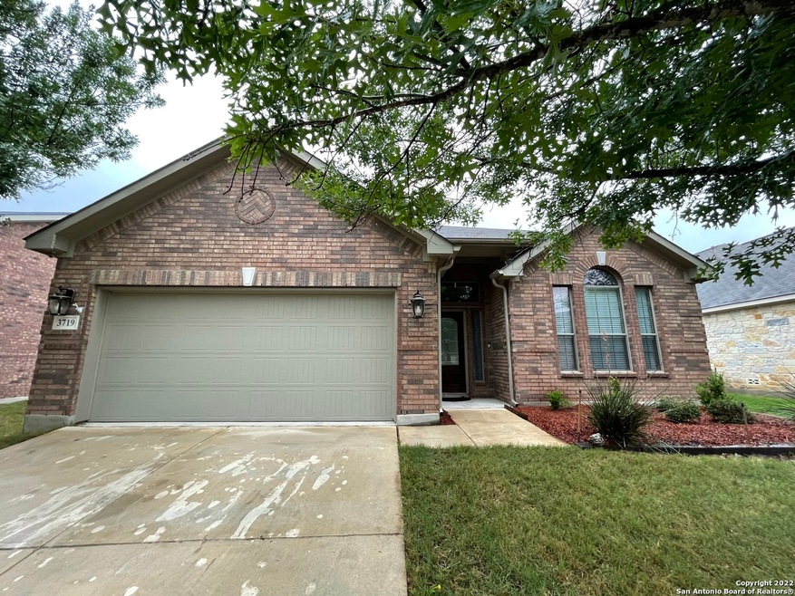 3719 Texas Sotol, San Antonio, TX 78261 - photo 1