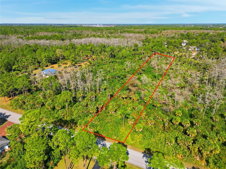 XXX 18th Ave NE, Rural Estates, FL 34120 - photo 1