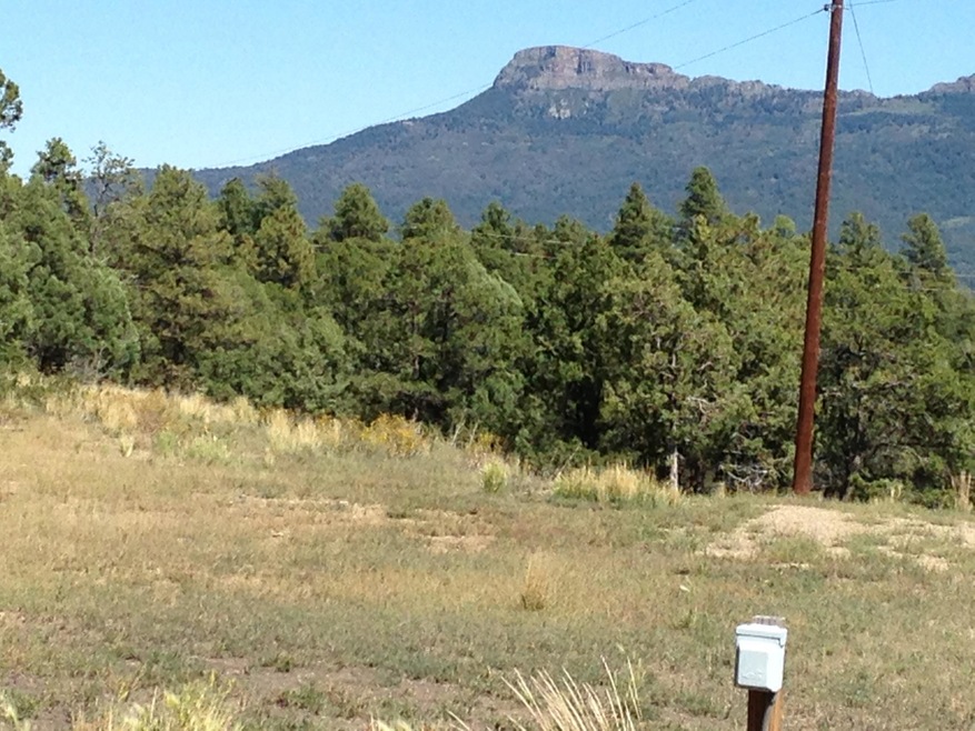 33079 Mountain Meadow Overlook unit Lot D11, Trinidad, CO 81082 - photo 1