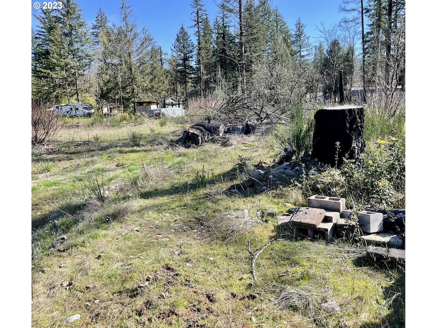 47476 Cedar St unit 6, Lyons, OR 97358 - photo 1