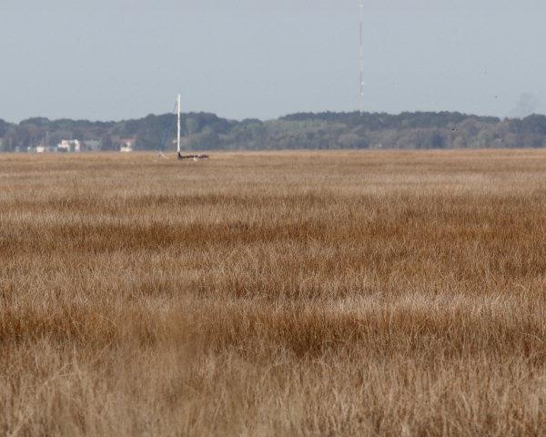 2003 Sea Palms West Dr unit LOT 2, St. Simons Island, GA 31522 - photo 1