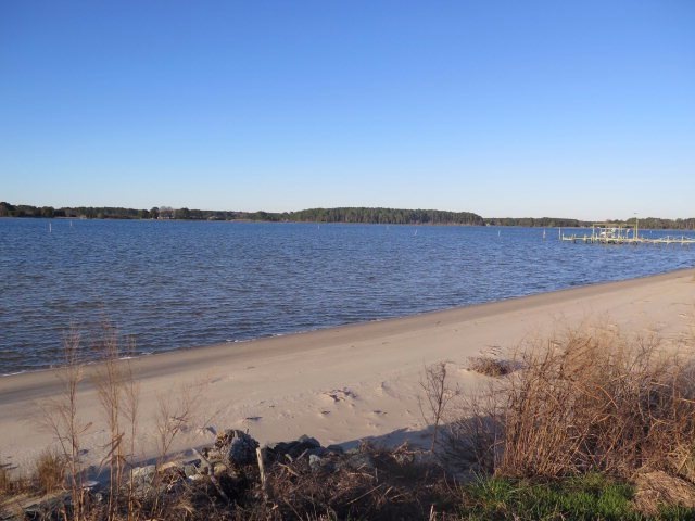 Main View