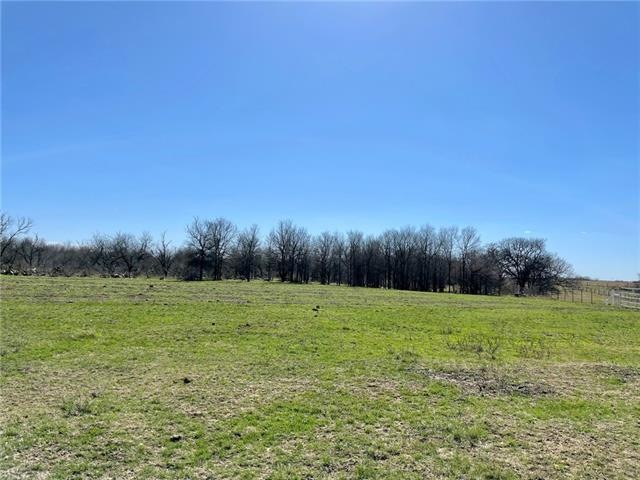 Lot 9 County Road 466, Coupland, TX 78615 - photo 1