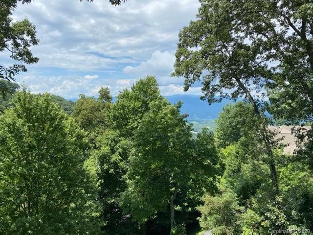 10 Stoney Falls Loop unit 4-303, Burnsville, NC 28714 - photo 1