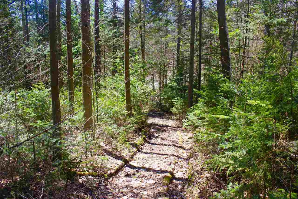 0 Schmidt Rd, Andover, VT 05143 - photo 1