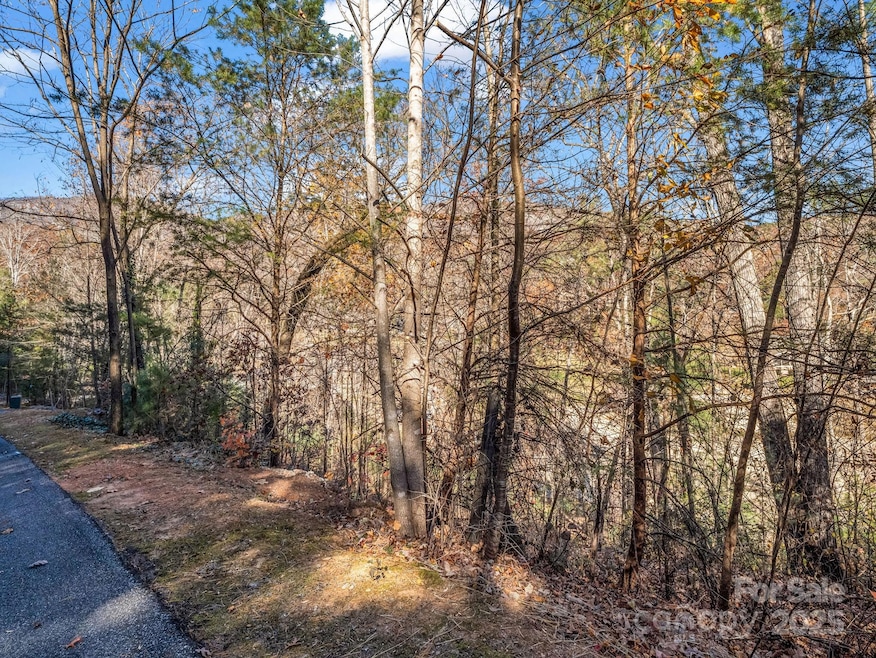 167 Firefly Point, Lake Lure, NC 28746 - photo 1