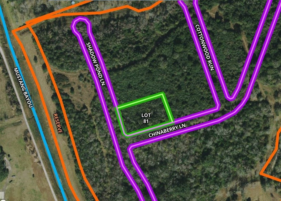 4615 Shadow Pond Ln, Alvin, TX 77511 - photo 1