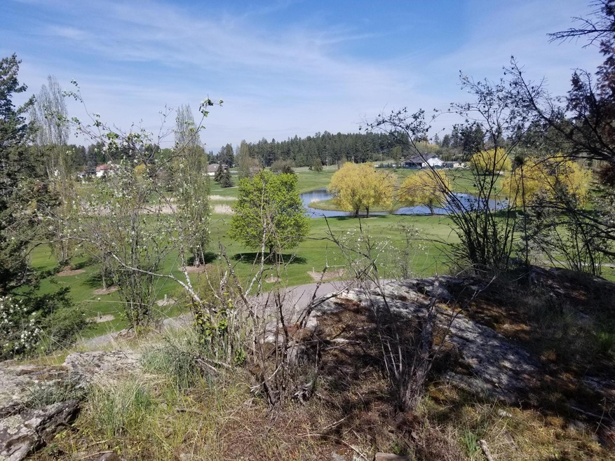 230 Eagle Bend Dr, Big Fork, MT 59911 - photo 1