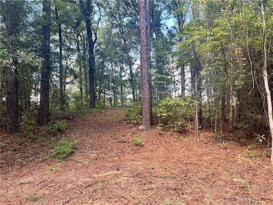 131 Bud Ates Rd, Pollock, LA 71467 - photo 1