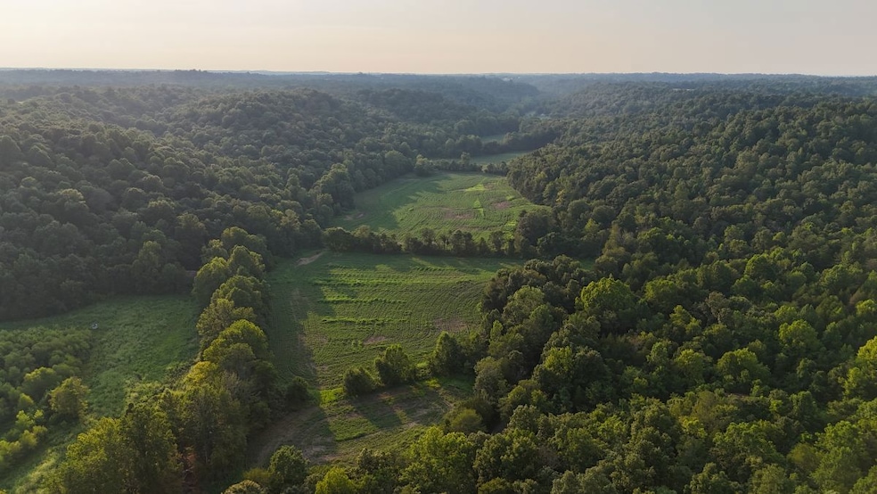 0 Ready Rd unit LotWP002 24349623, Caneyville, KY 42721 - photo 1